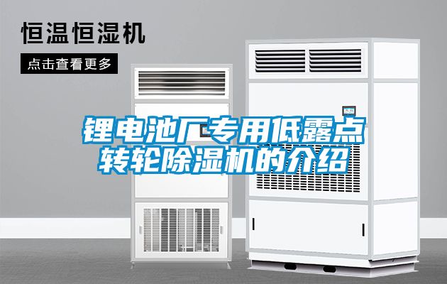 鋰電池廠專用低露點(diǎn)轉(zhuǎn)輪除濕機(jī)的介紹