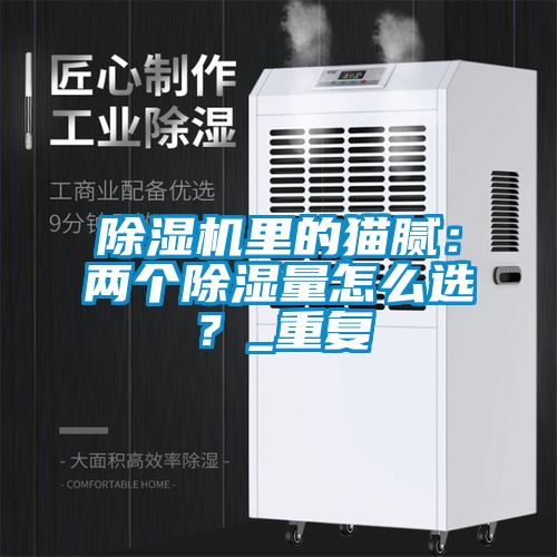 除濕機(jī)里的貓膩：兩個(gè)除濕量怎么選？_重復(fù)